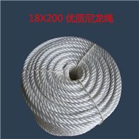 網住千般力，牽起萬縷金——晉州市長纓繩網線帶廠網絡線產品全面上線